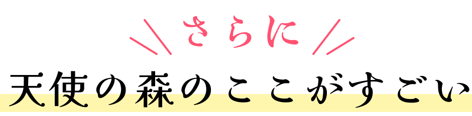 天使の森のここがすごい