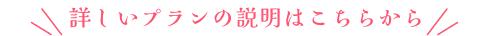 詳しいプランの説明はこちらから